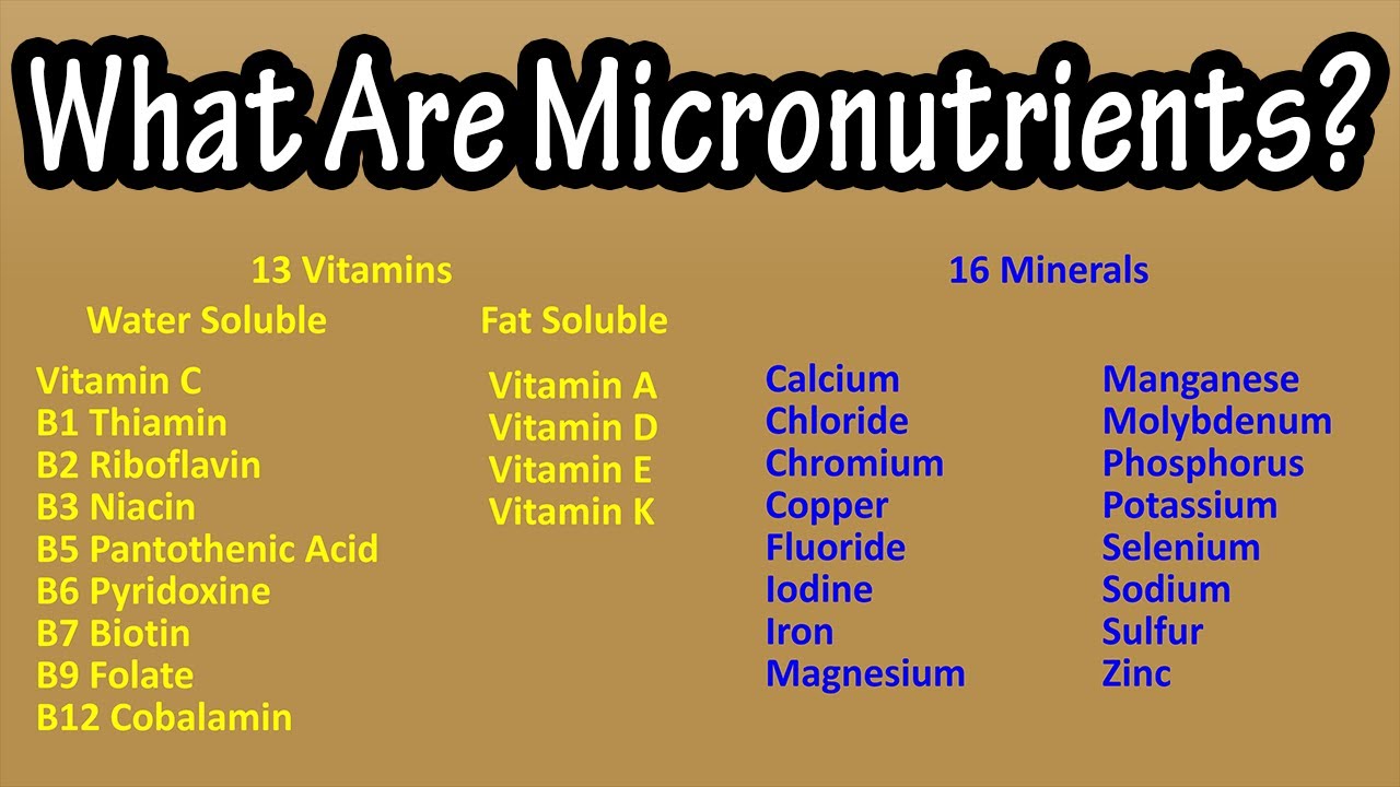 Understanding Nutrition and Essential Nutrients for Optimal Health| 10 ...