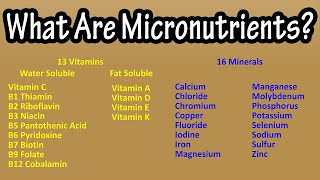 What Are Micronutrients (Vitamins And Minerals) Explained - RDA For Vitamins And Minerals