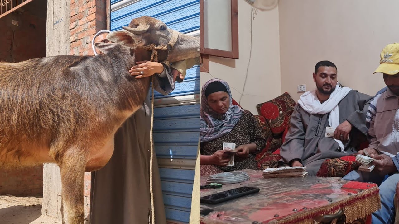 لا حول ولا قوه الا بالله الحاجه صعبان عليها البهايم😔😔