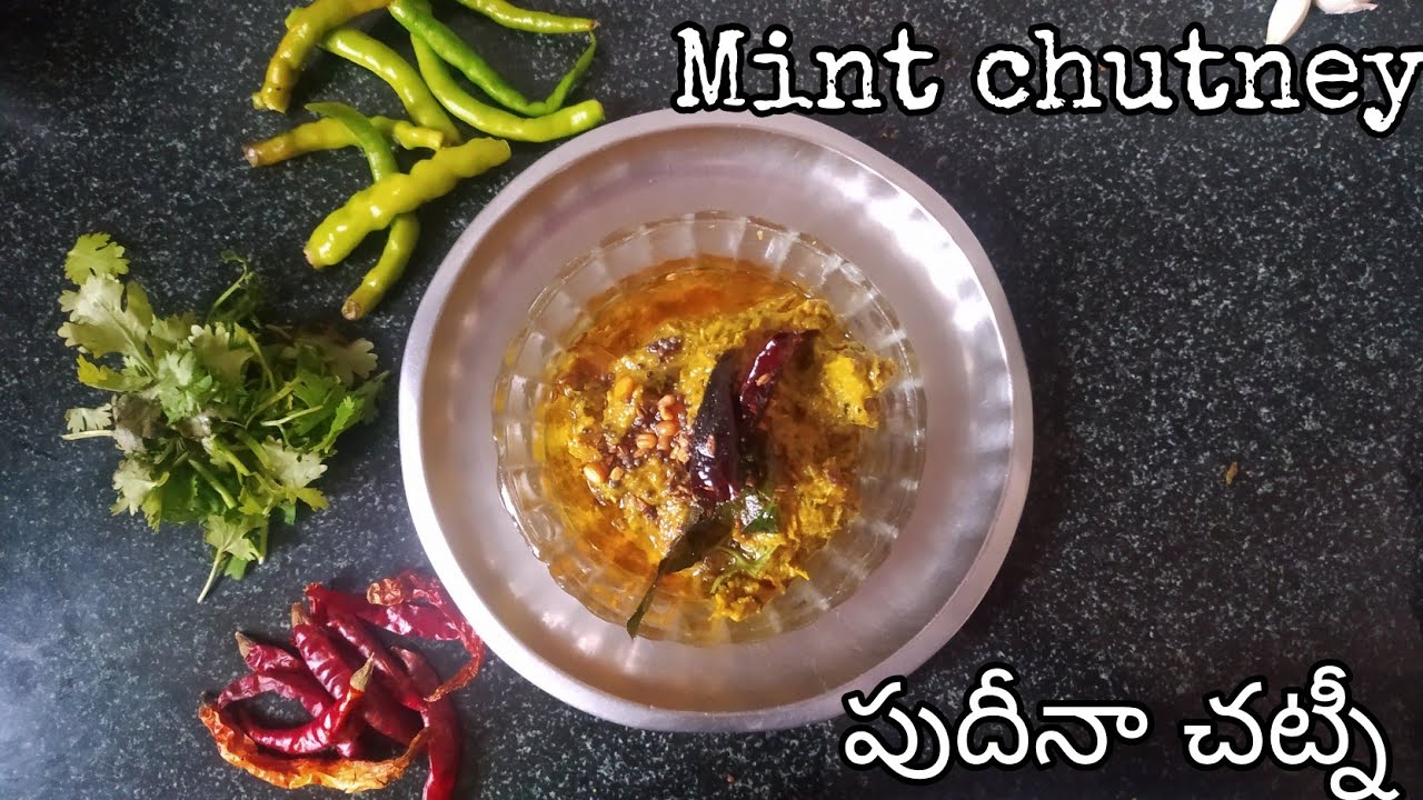 Mint Chutney YouTube