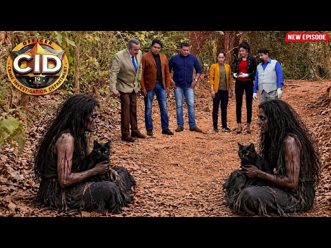 জঙ্গলের সবচেয়ে ভয়ঙ্কর সত্য! কালো বিড়ালওয়ালা ডাইনির আতঙ্ক | CID | সি.আই.ডি. | Latest Episode