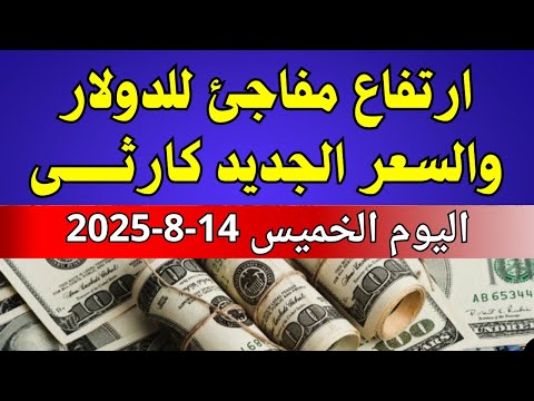 الدولار فى السوق السوداء اسعار الدولار والعملات اليوم الخميس 14 8 2025 في مصر