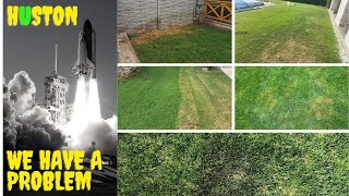 Pete Maro In Gazon? Ce Poate Fi? Semintegazon.ro