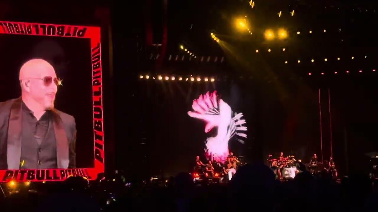 Fridayz live2025  pitbull fireball 