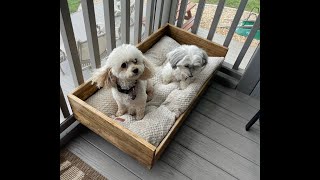 Dog Bed Build