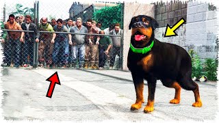 Чопқа Зомбилер шабуыл жасады 😭 | GTA 5