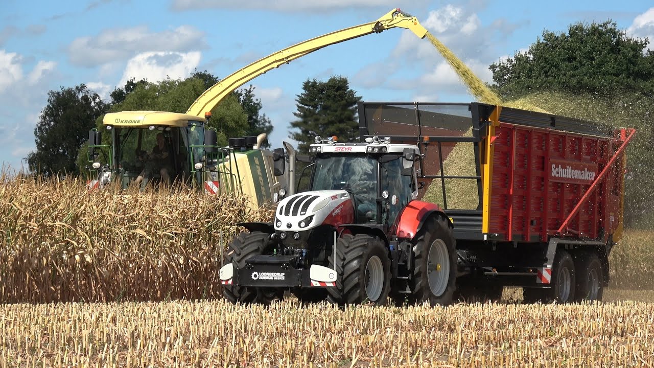 Mais hakselen door loonbedrijf Zandman met een 10 rij Krone BigX 770 en Steyr trekkers (2025)