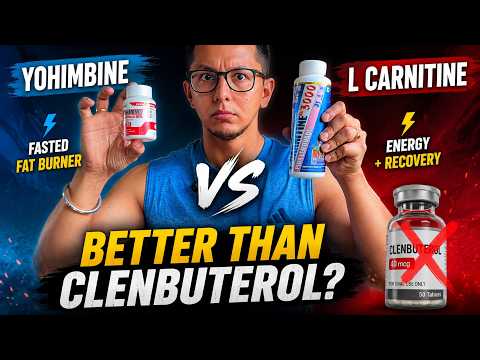 L-Carnitine vs Yohimbine: Which Fat Loss Supplement Actually Works?