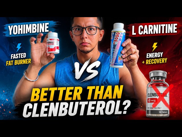L-Carnitine vs Yohimbine: Which Fat Loss Supplement Actually Works?