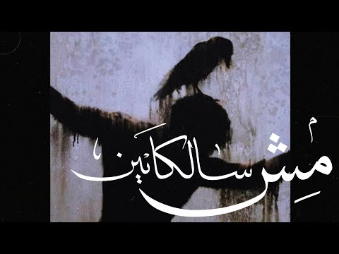 مش سلكانين   نادر عبدالله