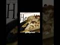 HE #hamilton #lams #edit #bl #capcut #ship #lyrics #historicallams #historical #foundingfathers