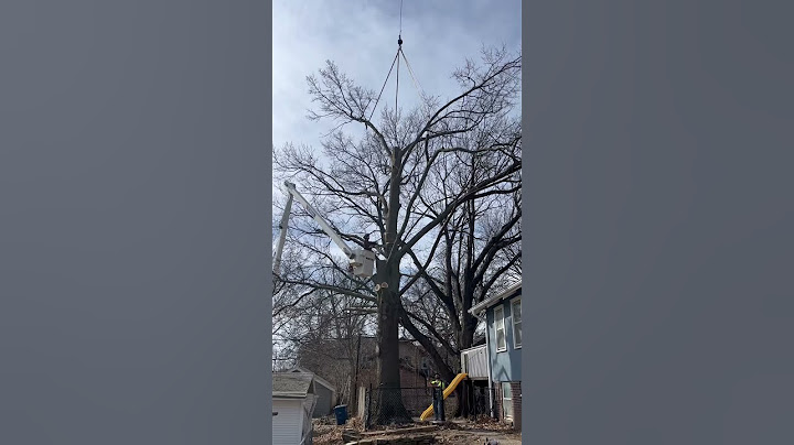 4000lb rigged up to the crane #treeremovalservices #treework #crane