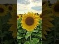 How My Kids Met Their Millionaire Great-Grandfather | True Story