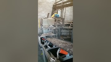 Belt weight indicator BST100-E21