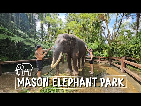 Does Bali Have Elephants