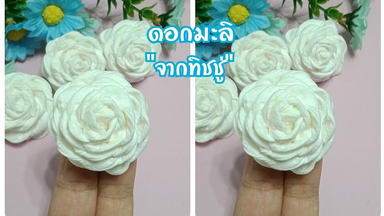 วิธีทำดอกมะลิจากกระดาษทิชชู่