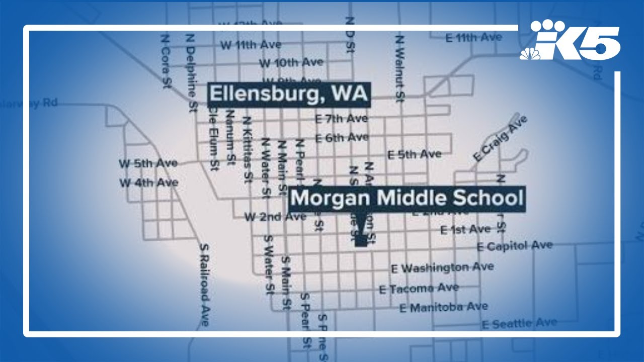2 WA girls detained in alleged school shooting plot - YouTube
