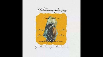 Guddhist Gunatita ft. Ghetto Gecko - SLIFU