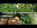 Огород в Германии. Весна./Unsere Garten in Deutschland/