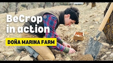 How to Test Your Soil with BeCrop - Three Easy Steps