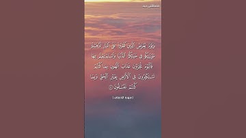 تلاوة خاشعة من سورة الأحقاف للقارئ مصطفى جيد