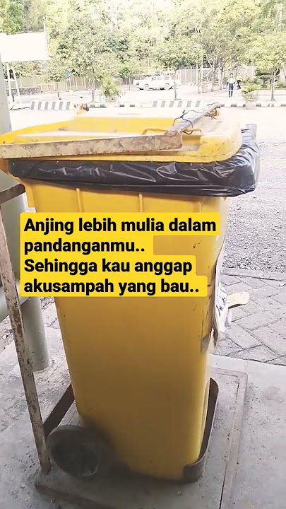 Anjing dan sampah#Rhoma Irama#Shorts
