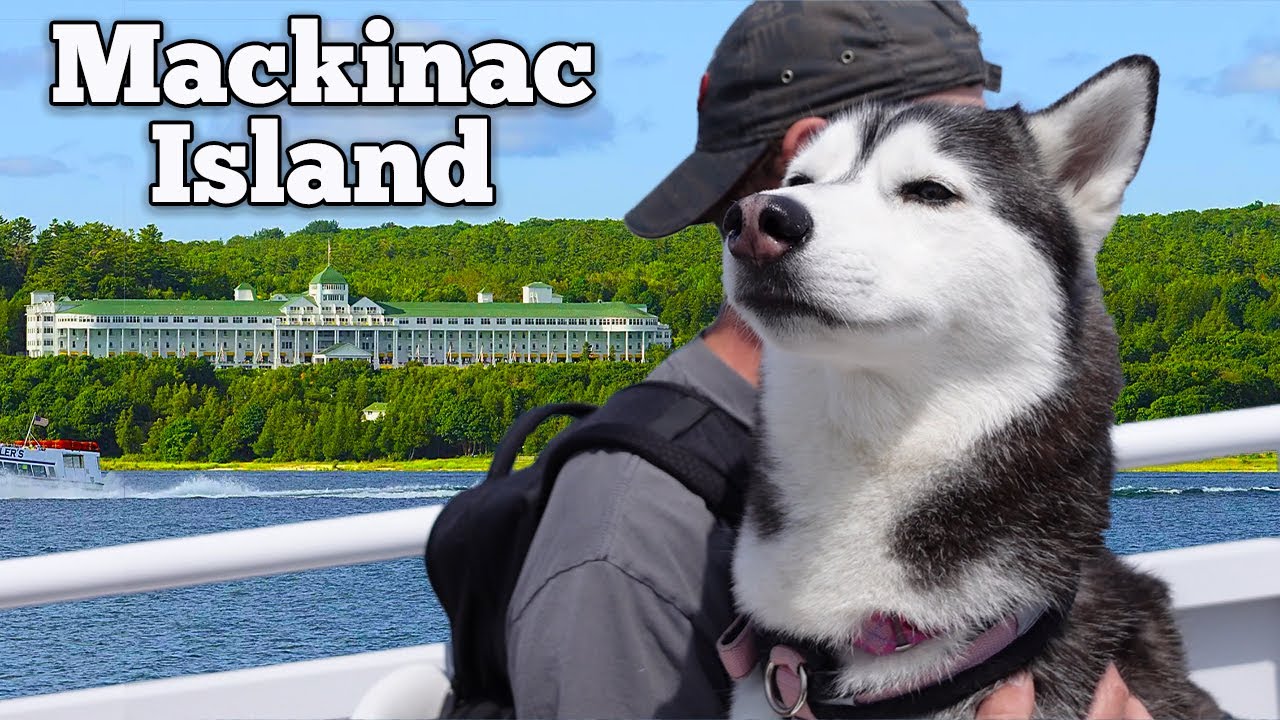 My Dogs Adventure on Mackinac Island YouTube