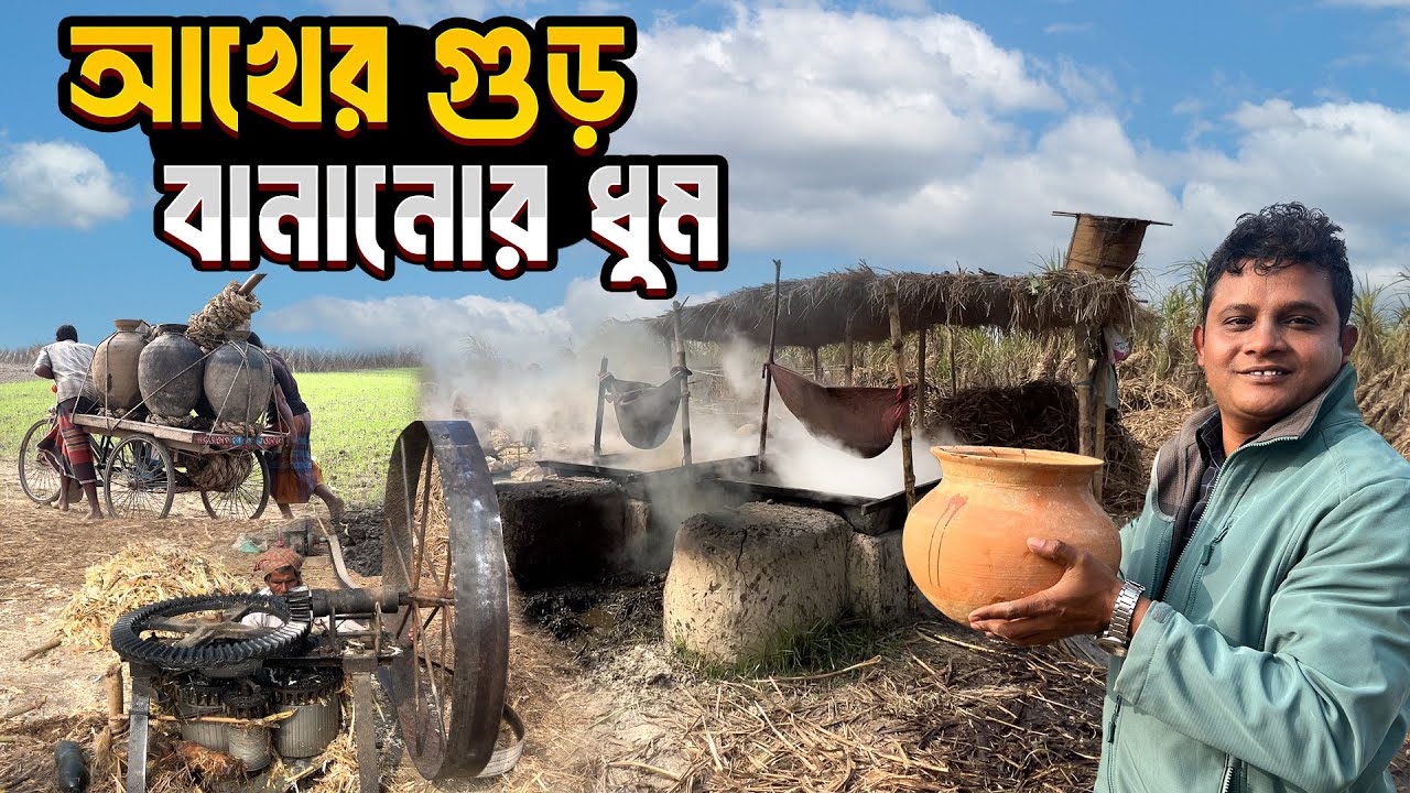 আখের গুড় বানানোর ধুম পড়েছে রাজবাড়ির হাবাসপুর চরে । Sugarcan Molasses Making । Rajbari