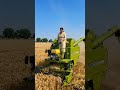 🚜 सिर्फ ₹2 लाख में 100+ बीघा कटाई! किसान हैरान 😱...|...#Harvester #MiniHarvester #Farming #Kisan
