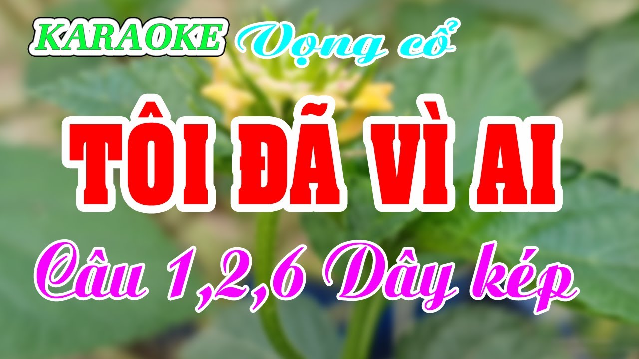 KARAOKE   TÔI ĐÃ VÌ AI _ Trăng Thu Dạ Khúc _ VC 1,2,6. Dây kép