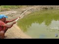 Fishing|Amazing fishing video|Easy way to catch rohu fishes|With rice bran powder & single(big)hook
