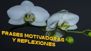 Frases motivadoras y reflexiones