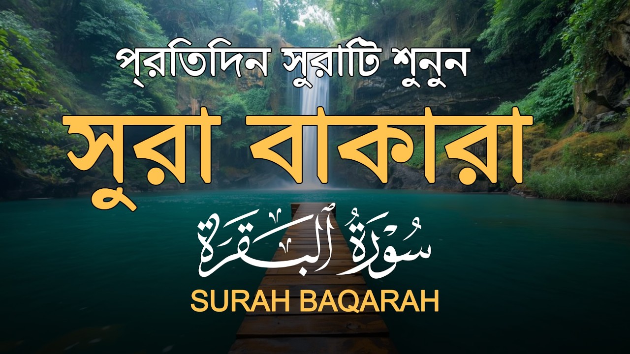 ঘরের উন্নতির জন্য সূরা বাকারা প্রতিদিন শুনুন| SurahAl Baqarah |Alaa Aqel