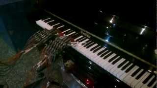 robot.flv