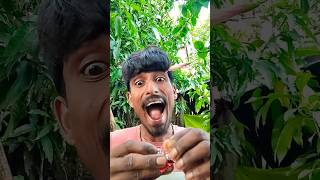 🦻ASMR AMERICA'S ORIGINAL DUBBLE BUBBLE GUM FLAVOR AND EATINGSOUNDS👂 #asmr #shorts