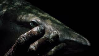 Chiaroscuro - Late Spring | French Dark Rap, Political Poetic Hip-Hop