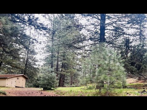 1594 Sierra Court, Portola, CA home video tour