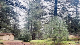 1594 Sierra Court video tour