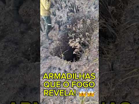 Vala de prospecção de mineração revelada por incêndio põe em perigo brigadistas que combatem fogo MG