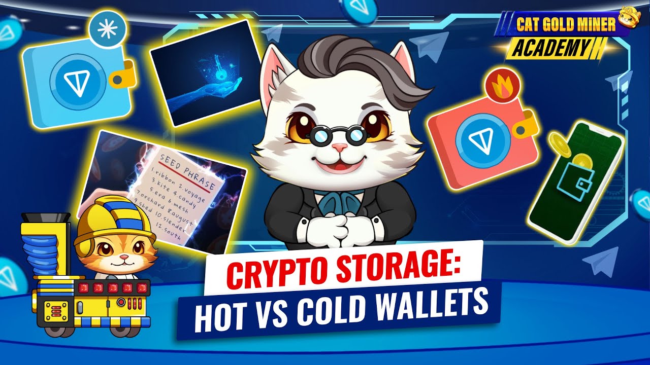 Crypto Storage: Hot vs Cold Wallets⚡️CAT GOLD MINER ACADEMY