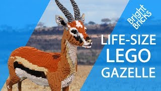 Life-Size LEGO Gazelle!