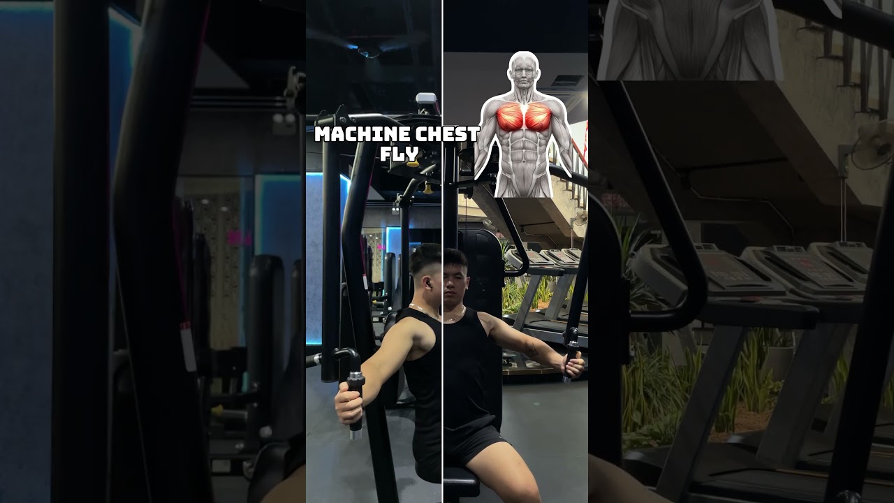How to the Chest Fly Machine 2025 