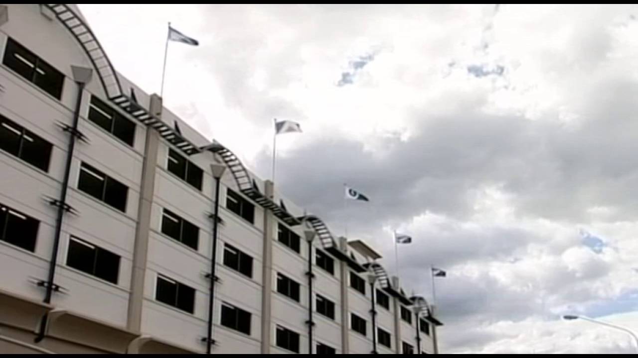 Provisional flag referendum costs revealed YouTube