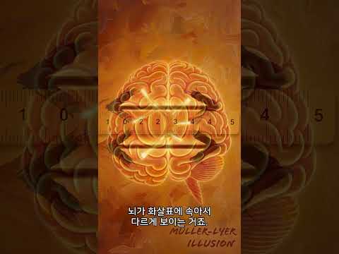 당신의 눈이 당신을 속이고 있습니다 😱 전 세계가 충격받은 착시 효과