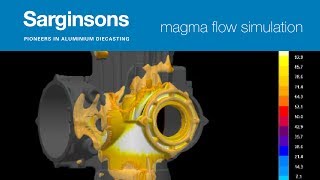 CAD & Magma | Sarginsons Industries Ltd Net Worth