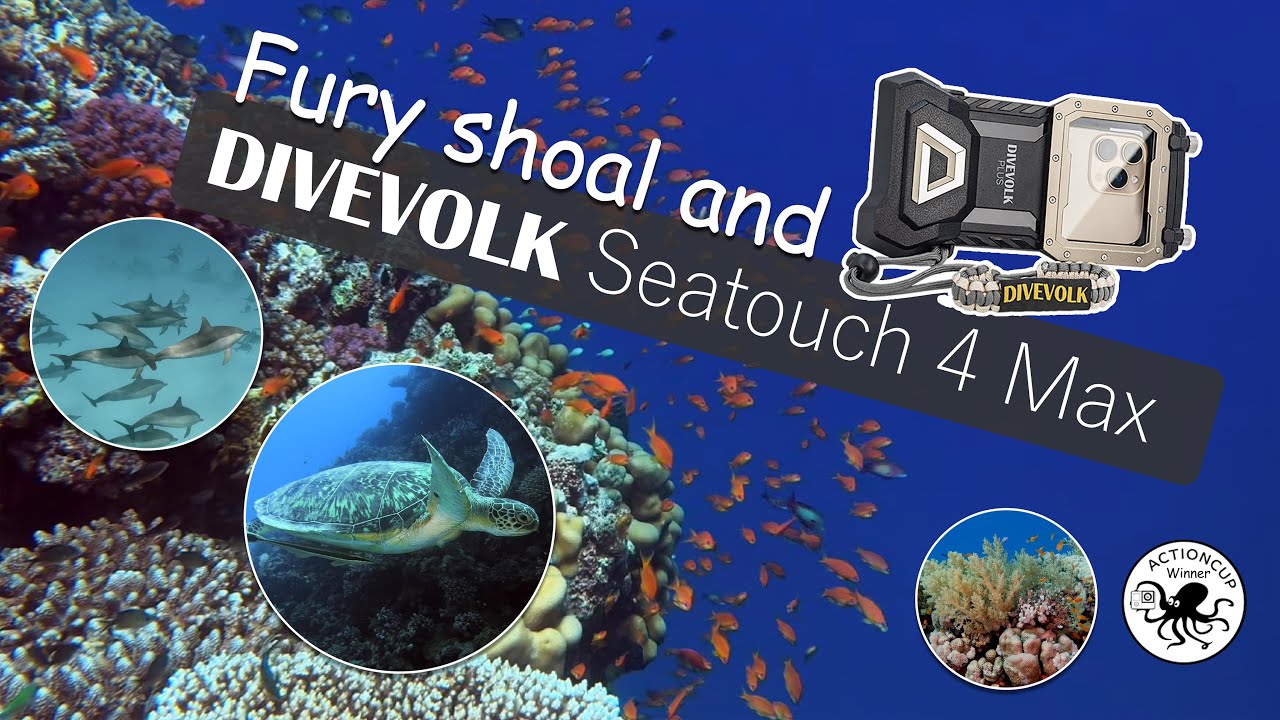 Egypt Fury Shoals With DIVEVOLK Seatouch 4 Max Underwater Housing