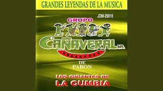 Echarme al Olvido