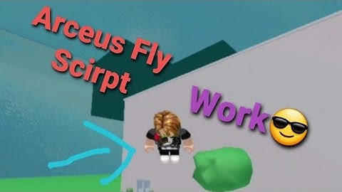 New Fly Scirpt Arceus X Work All Game