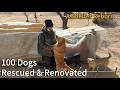 After the Fire, We Rebuilt a Home for 100 Rescued Dogs