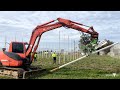 Narrow Orchard Systems orchard development Spring 2024